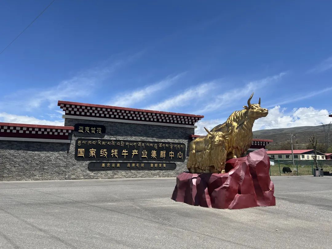 康巴拉牦牛肉销售中心（康北生态牦牛产业园区） 参考图 1